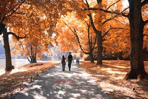 穆蒂意大利歌剧学院开启首次中国行